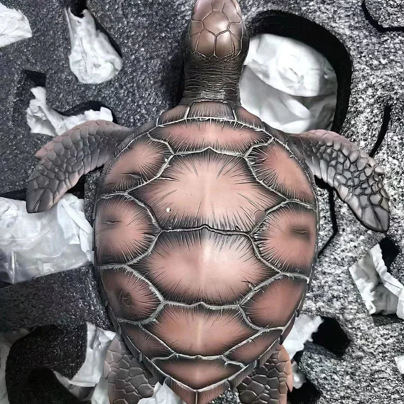 23cm Dragon Ball Z Kame Sennin (Master Roshi) Figure - Image 6